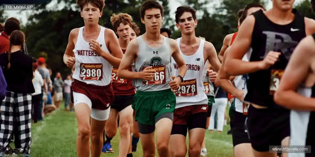 实时战况，心跳加速📱